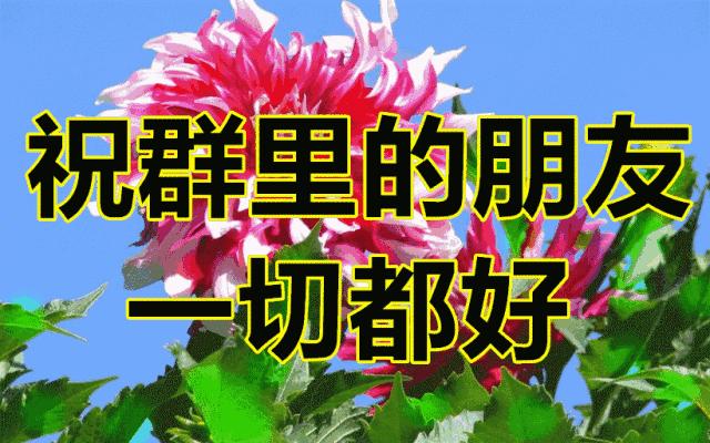 2022缘分早上好图片大全送给真心朋友早上好问候带给你一天好心情