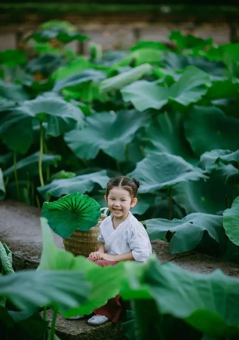 原创七言绝句之咏荷赋上热门,古人咏荷七律名诗