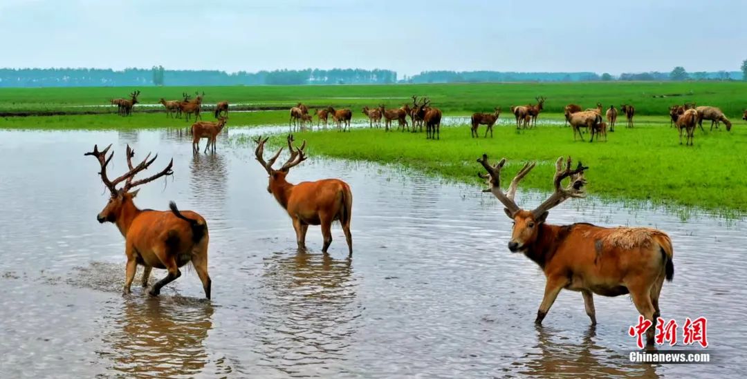 湖北的宝藏旅行地,宝藏湖北有多美