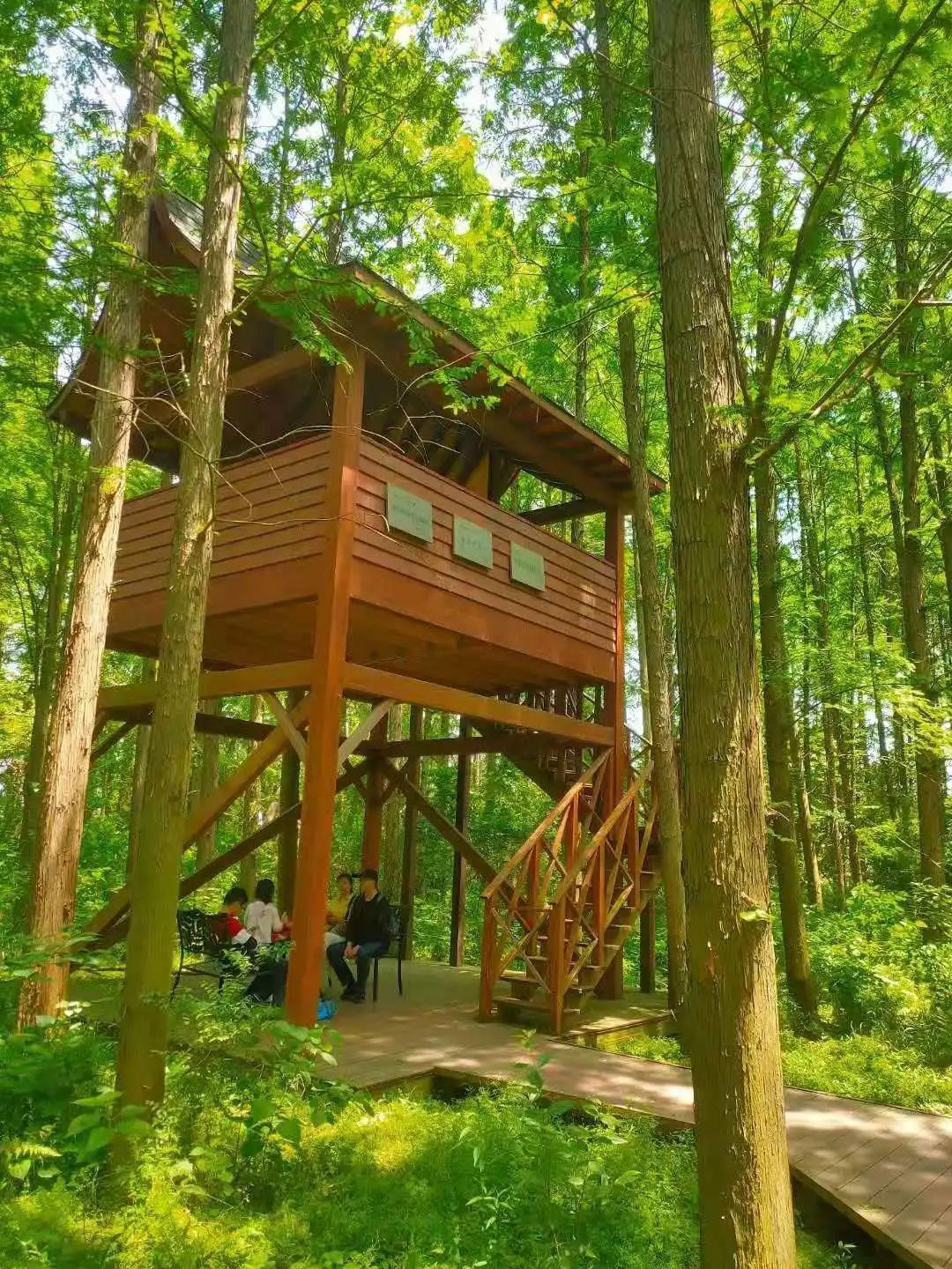 苏州旅游团5日游,苏州旅游团七日游