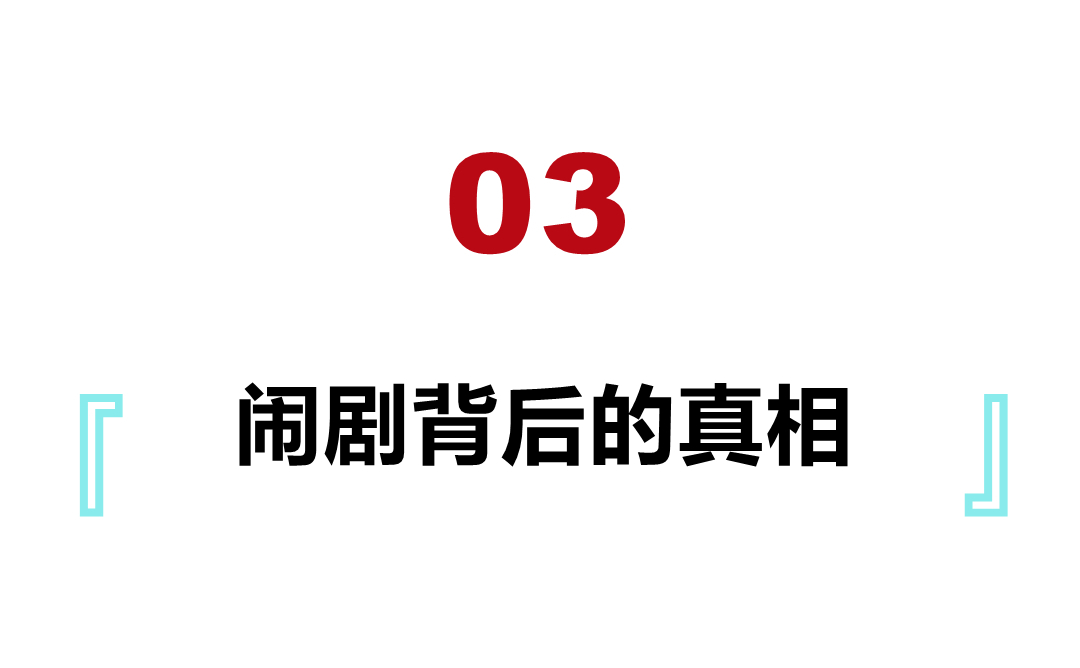郁金香泡沫对于荷兰有何影响,荷兰郁金香泡沫最大的赢家是谁