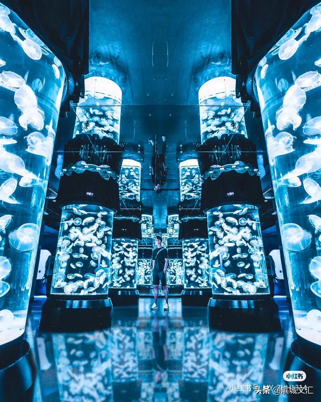 你好，我叫天津，这是我2022年的最新简历