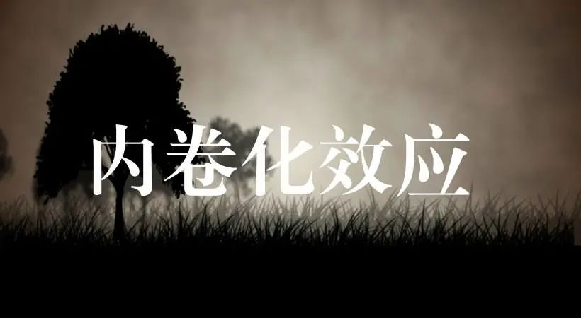 成本比“北上广”房价还贵？“天鹅绒轮胎”？确定不是逗你玩？