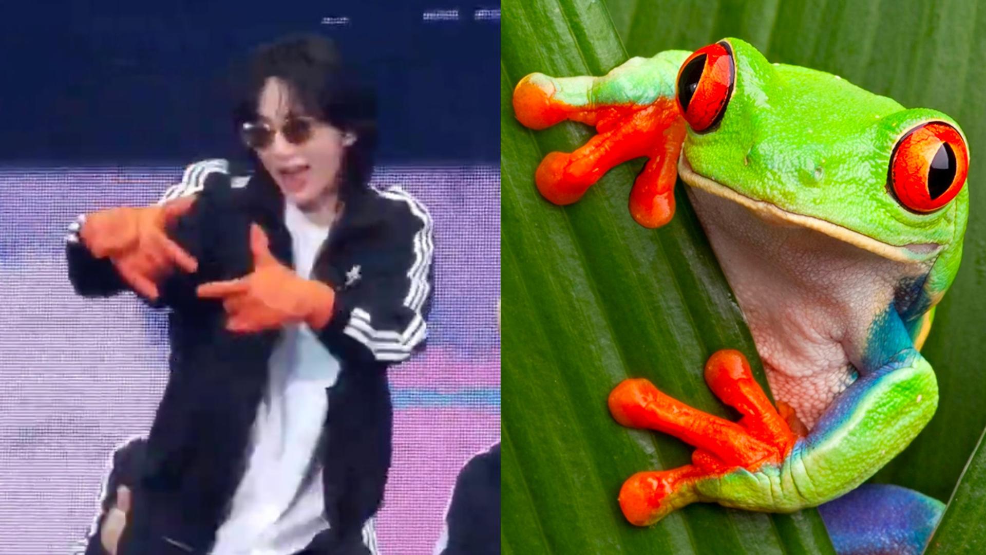 动物与人类的温暖瞬间片段,动物与人类的温暖瞬间照片