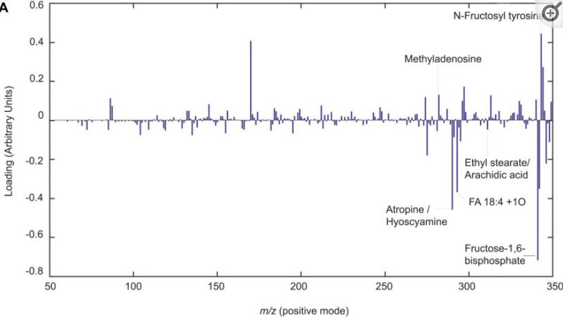 壳寡糖的促进生根作用,壳寡糖对免疫系统的调节作用
