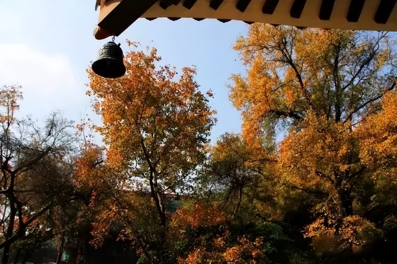 广州台山那琴半岛两日游,台山一日游必去景点牛山公园