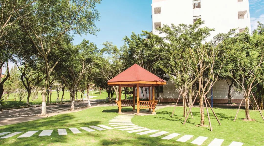 2019年一年级招生简章,2022年公办学校一年级怎么招生