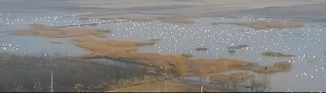 明天起5天，郑州市民非必要不出户不出小区；每天开展一次核酸筛查/郑州致全体市民的公开信/世界杯最新战报