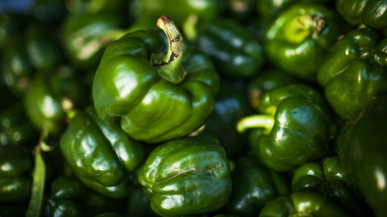 适合各类人群饮用的绿色食品,哪些绿色食品能做饮品