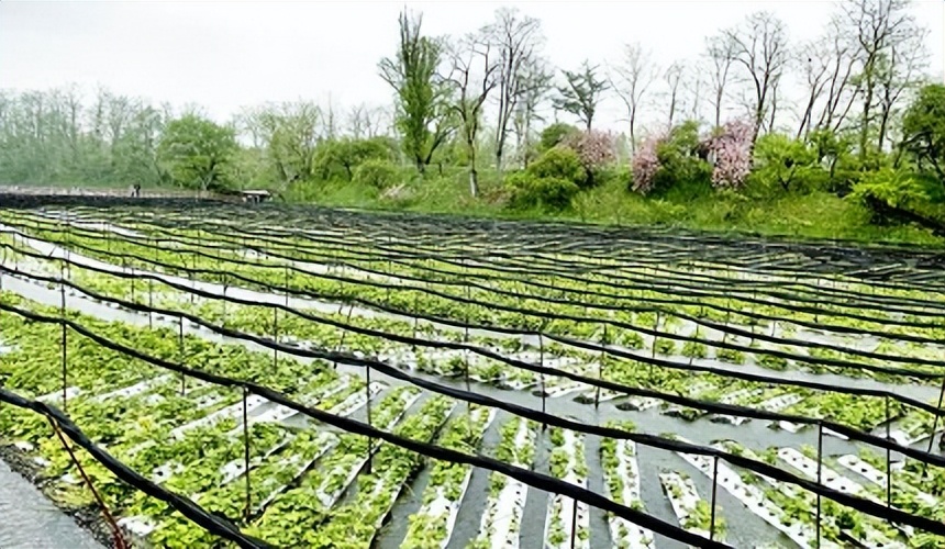 长野温泉日本长野旅游攻略,长野县旅游线路