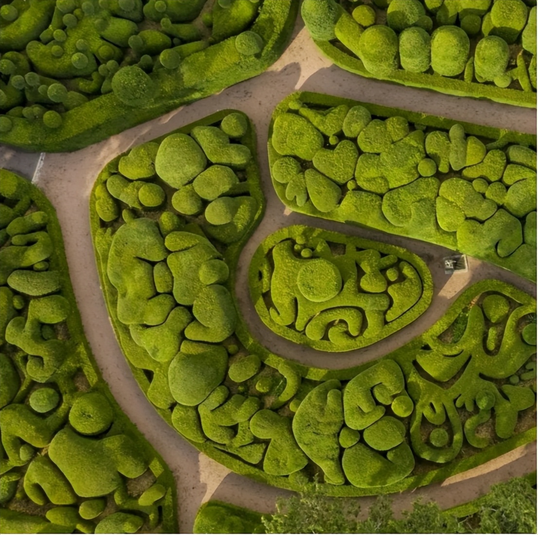 那些被我们忽略的风景,球球景观