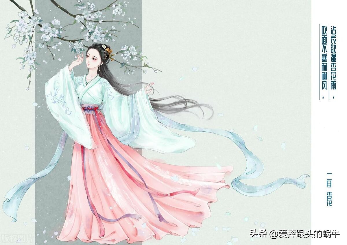 十二花神图谱完整版,工笔画十二花神欣赏