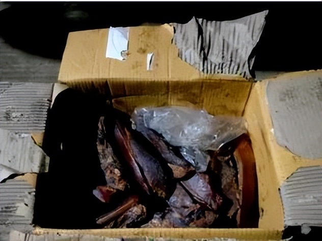 快递贩毒案件最新,快递物流贩毒案件