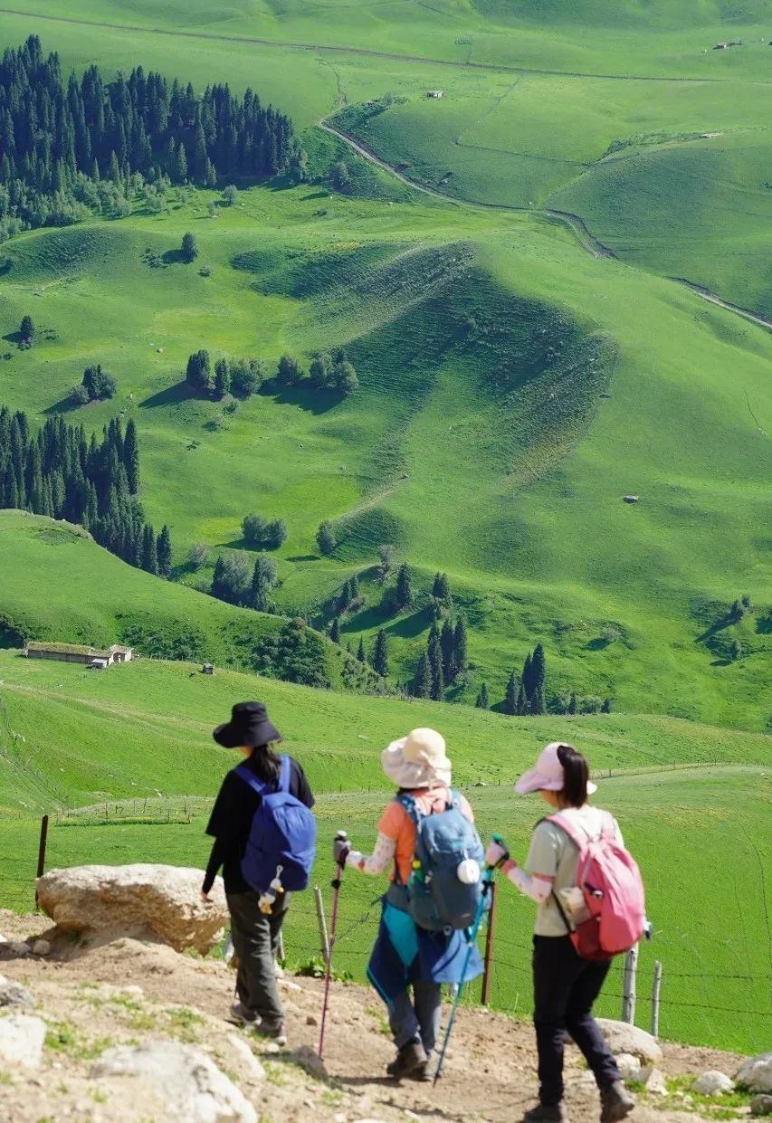 那拉提空中草原雪景照片,大草原的壮丽雪景图