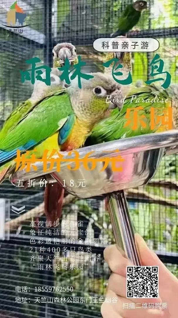 厦门四天游玩攻略大全,最新厦门游玩攻略