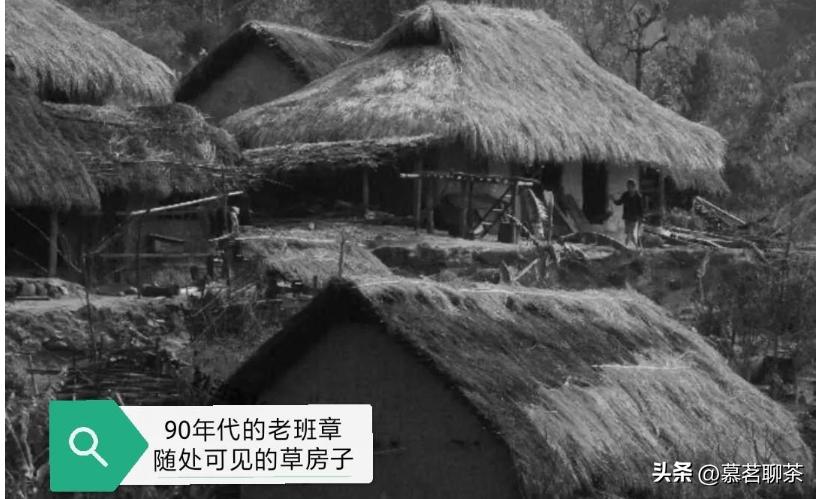 老班章之普洱茶界之最,普洱茶哪款老班章最好喝