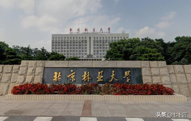 北京林业大学mpa报考点怎么选择,北京林业大学mpa非全课程表