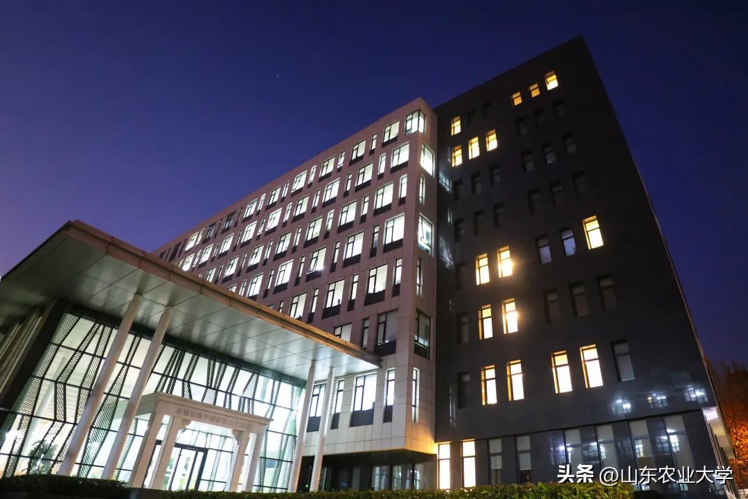 生日快乐！一起为山东农大“非凡十年”点赞