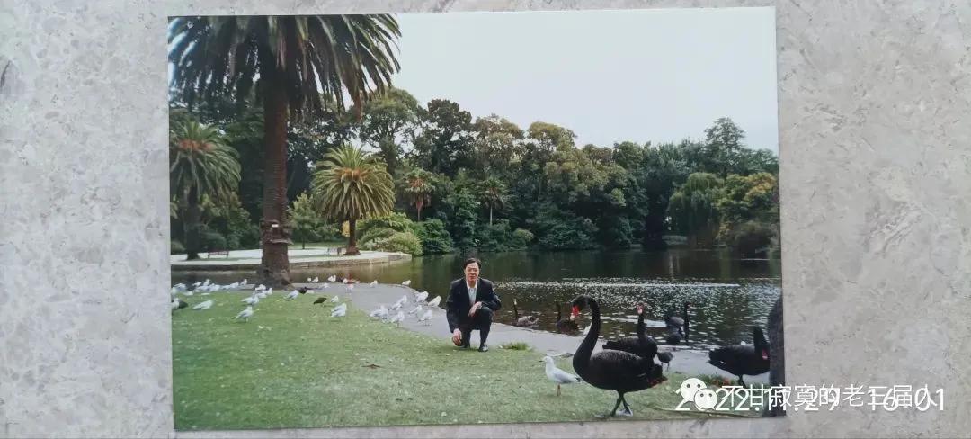 澳大利亚特有的珍奇动物是什么,澳大利亚的珍奇动物是