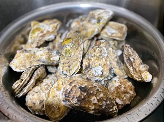 为什么一个叫生蚝一个叫牡蛎,生蚝和牡蛎的味道区别图