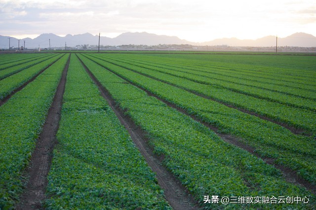 农业发展重点突破,农业创新发展模式