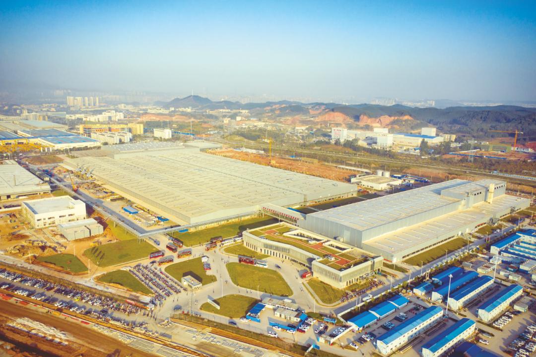 外地人来南宁实现水果自由,广西人的“水果自由”是这样的