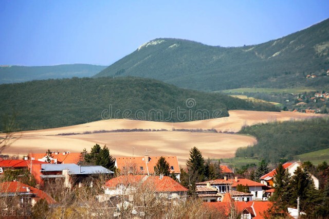全职跑顺风车一个月能赚多少钱,失业跑顺风车还有前途吗