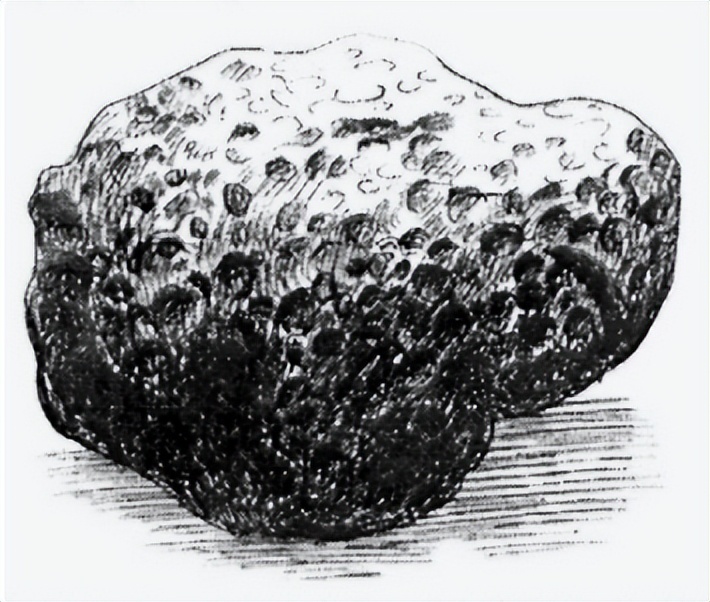 为什么天文望远镜可以透过大气层,反射式天文望远镜的原理