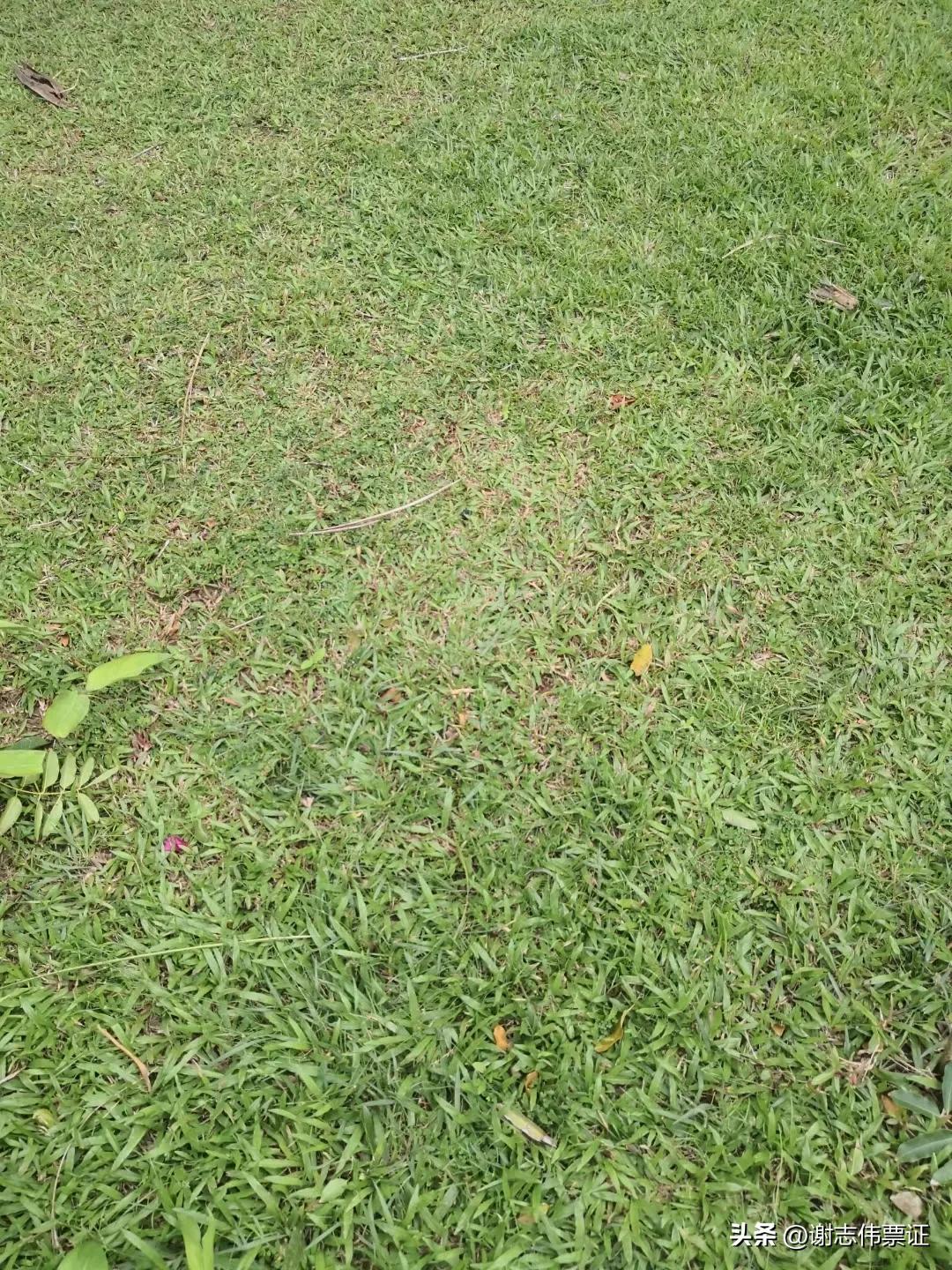 海南风情区,海南风情