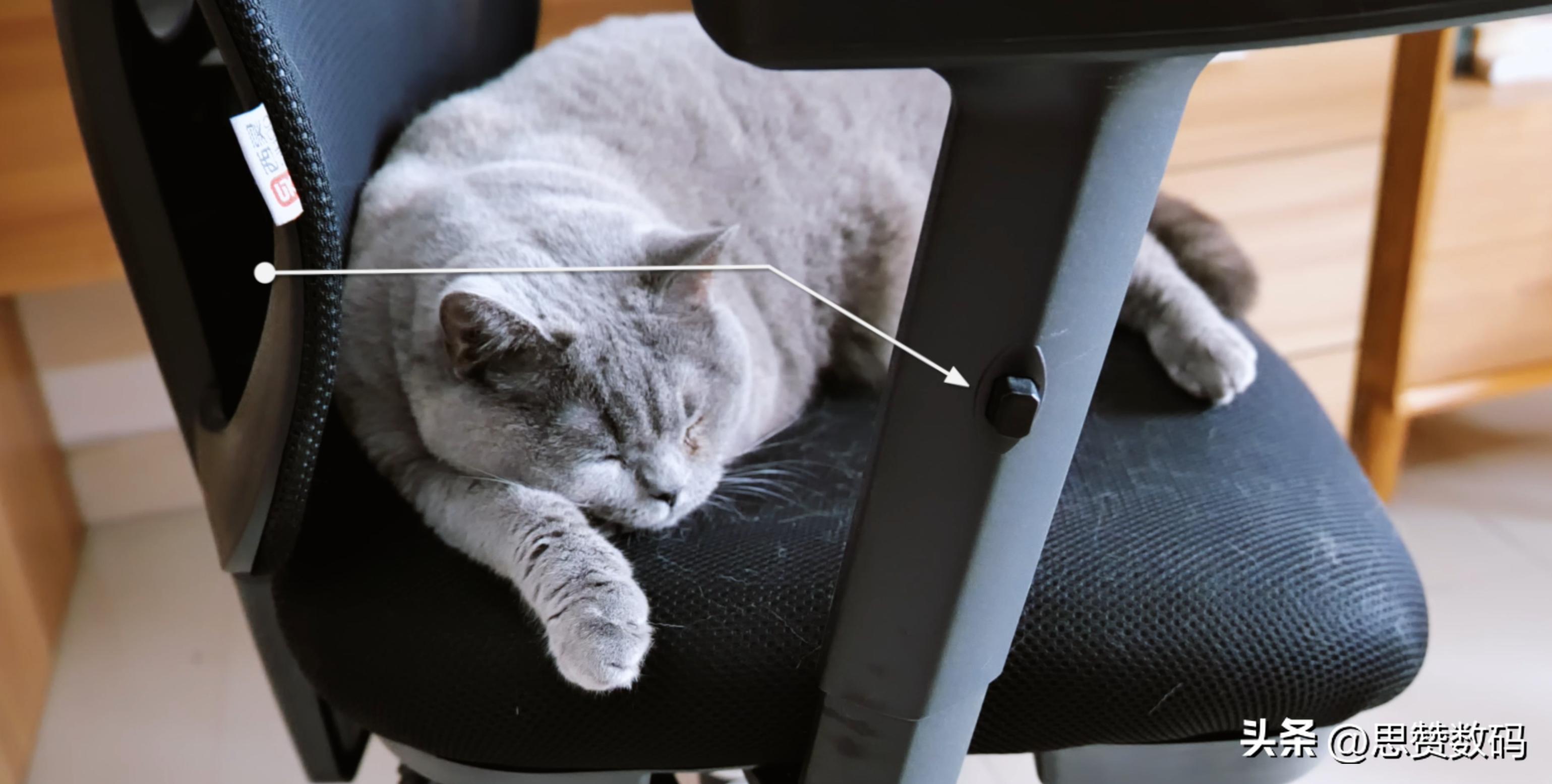 西昊电脑椅m18与m56,歌德利g18六代和西昊m56怎么选