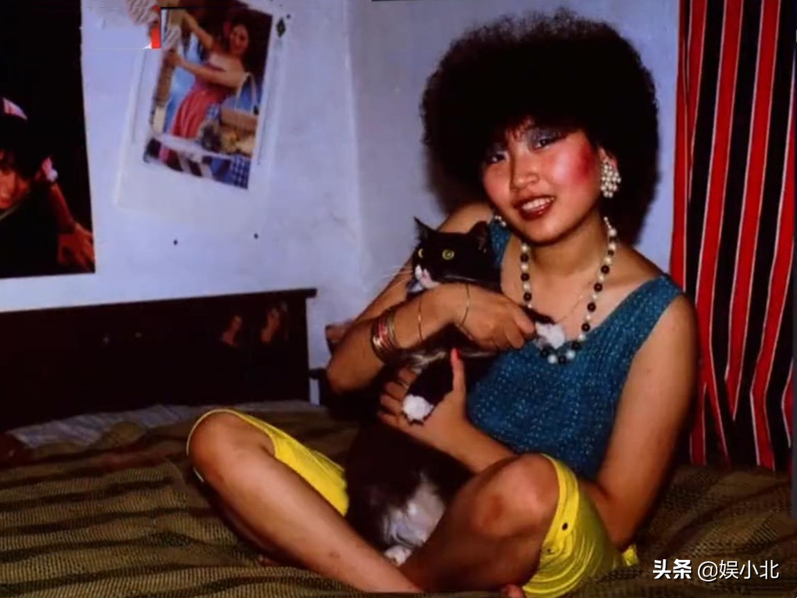 张蔷选择于文文,张蔷怎么不谈于文文