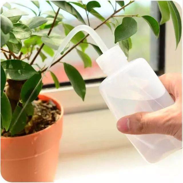 盆土粘稠能少浇水吗,盆土硬如石用什么泡水