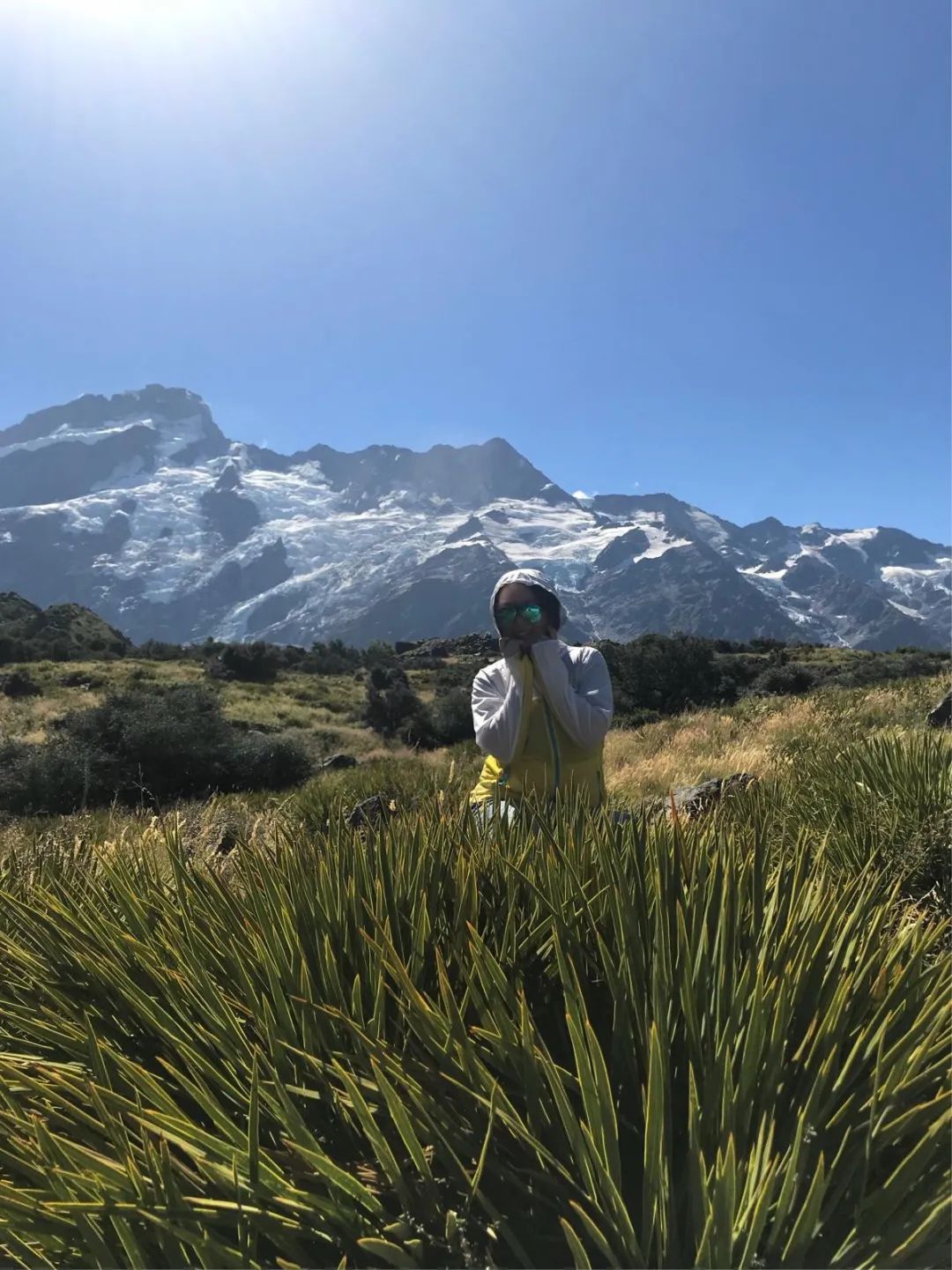 写给不被疫情束缚的心:用文字“云”游新西兰全境