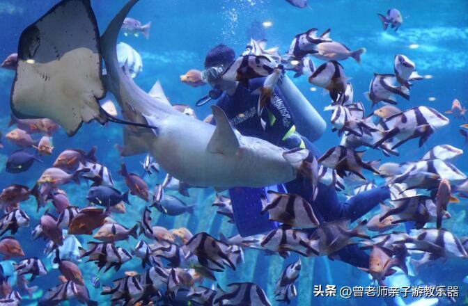 2023西安亲子游景区大全，30多个遛娃宝地，很多都免费