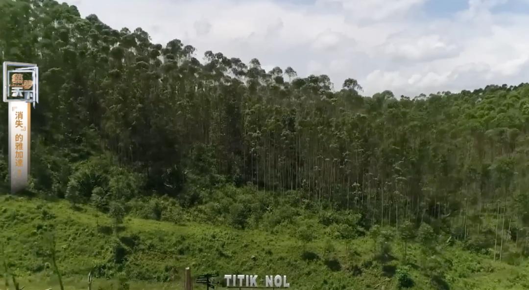 印尼首都雅加达搬迁到什么地方,印尼雅加达是首都吗