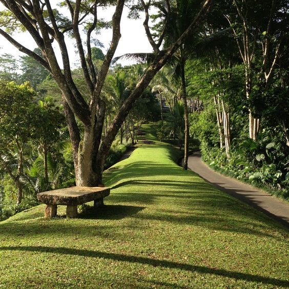 如何设计一个小型农场,农场农庄商业模式设计