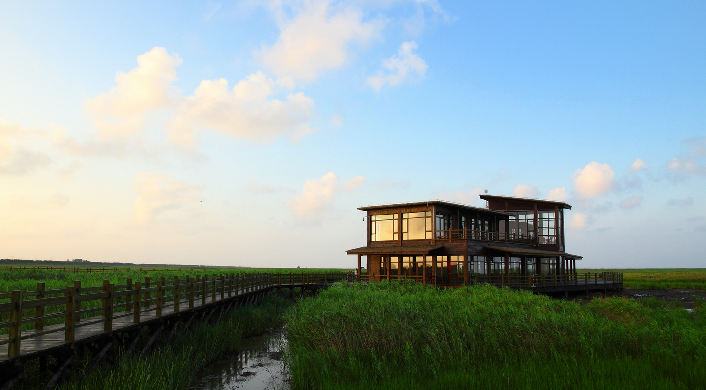 上海崇明生活是一种什么体验,崇明岛居住体验