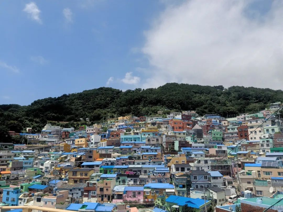 90后江江在韩国：海浪跫音，路在自己脚下