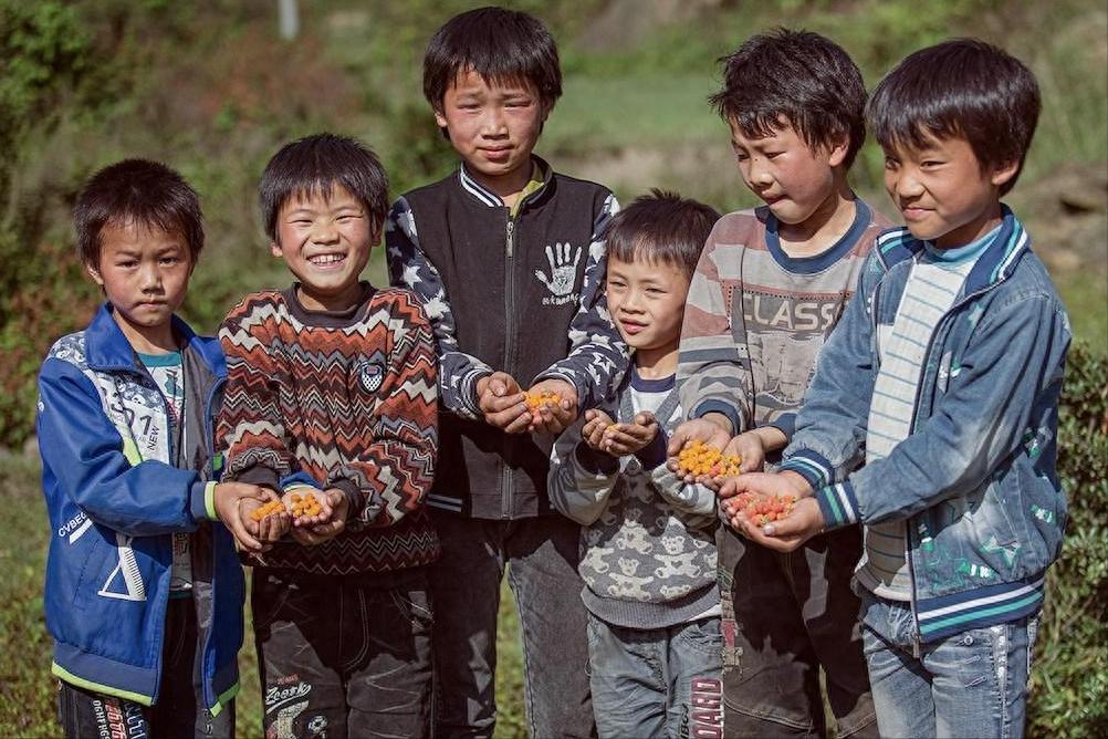 穷人不该生娃是哪个高材生说的,女大学生说穷人不该生娃