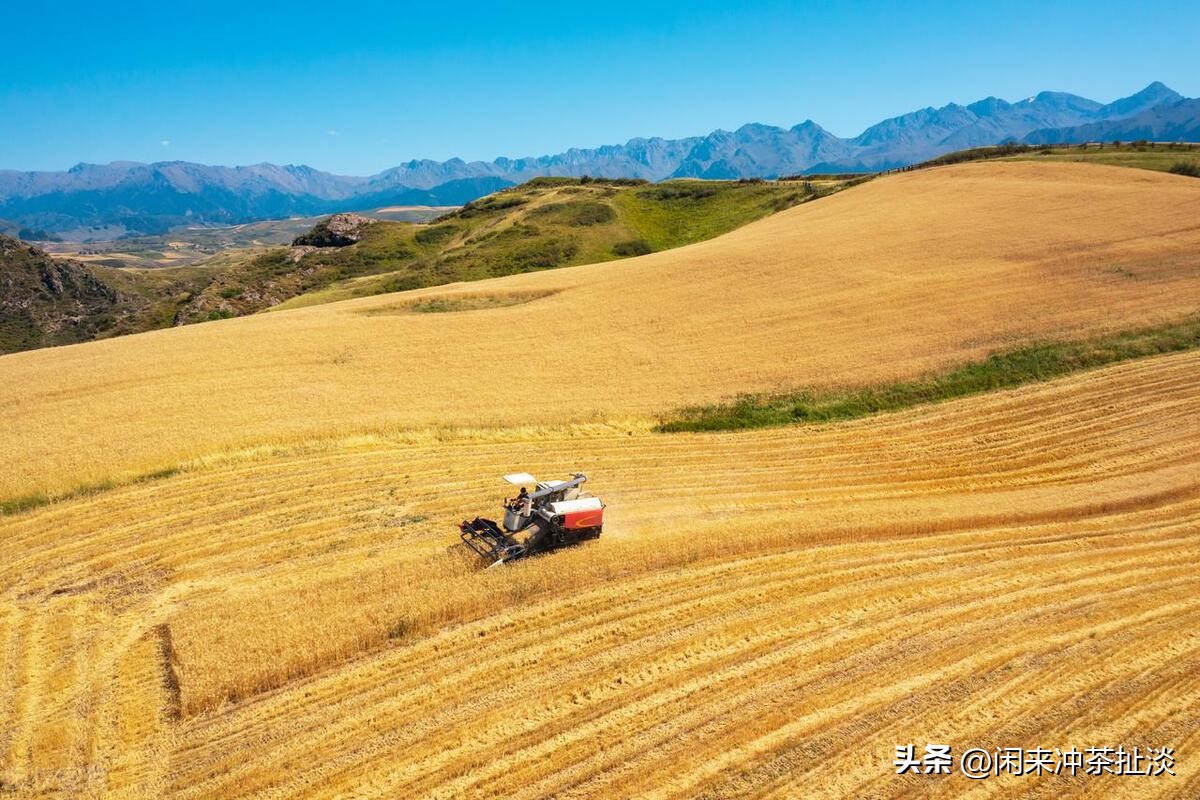 神仙的自留地,神的自留地喀纳斯