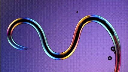 运动神经元显微镜观察内容与结果,显微镜下观察神经元的判断依据