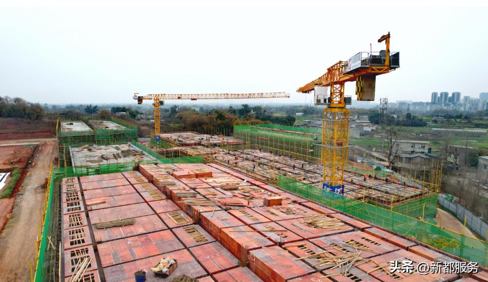 新都足球公园,新都最大的足球公园