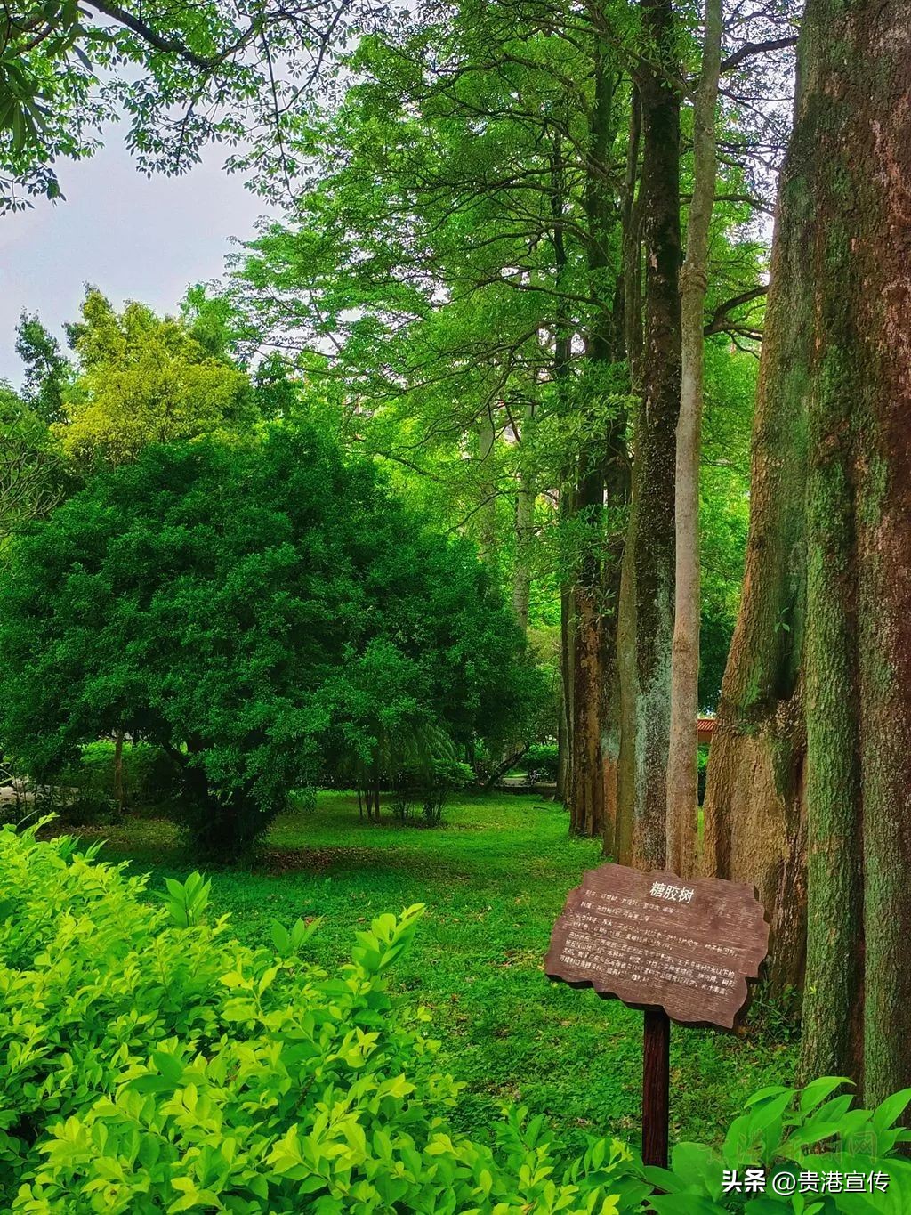 你好大安,大安高中联系方式