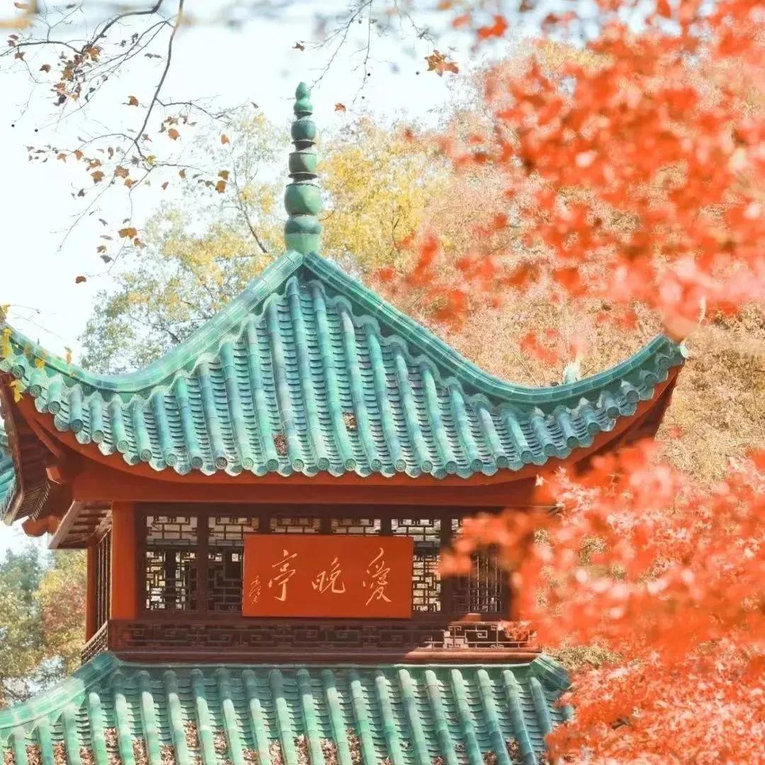 长沙各区游玩攻略推荐,长沙攻略必去的十个地方