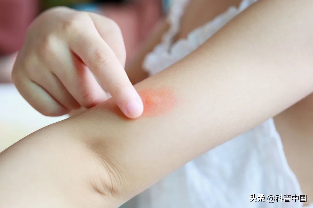 能催眠蚊子的音乐,音乐真的能催眠蚊子吗