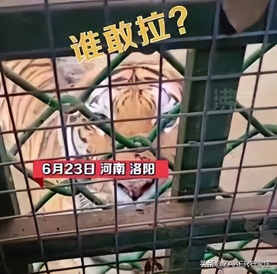 汇总！30省份高考分数线公布；石家庄2022年普通高中招生政策发布；重型货车司机误闯禁行受处罚，交警提醒