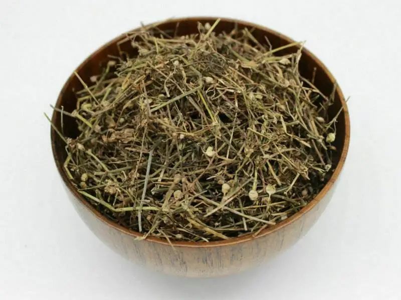 国医大师林毅：治疗晚期乳腺癌经验