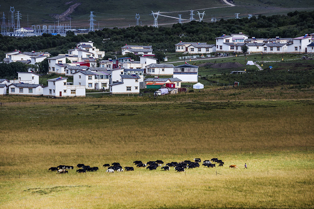 西部大草原旅游攻略,四川红原大草原自驾旅游攻略