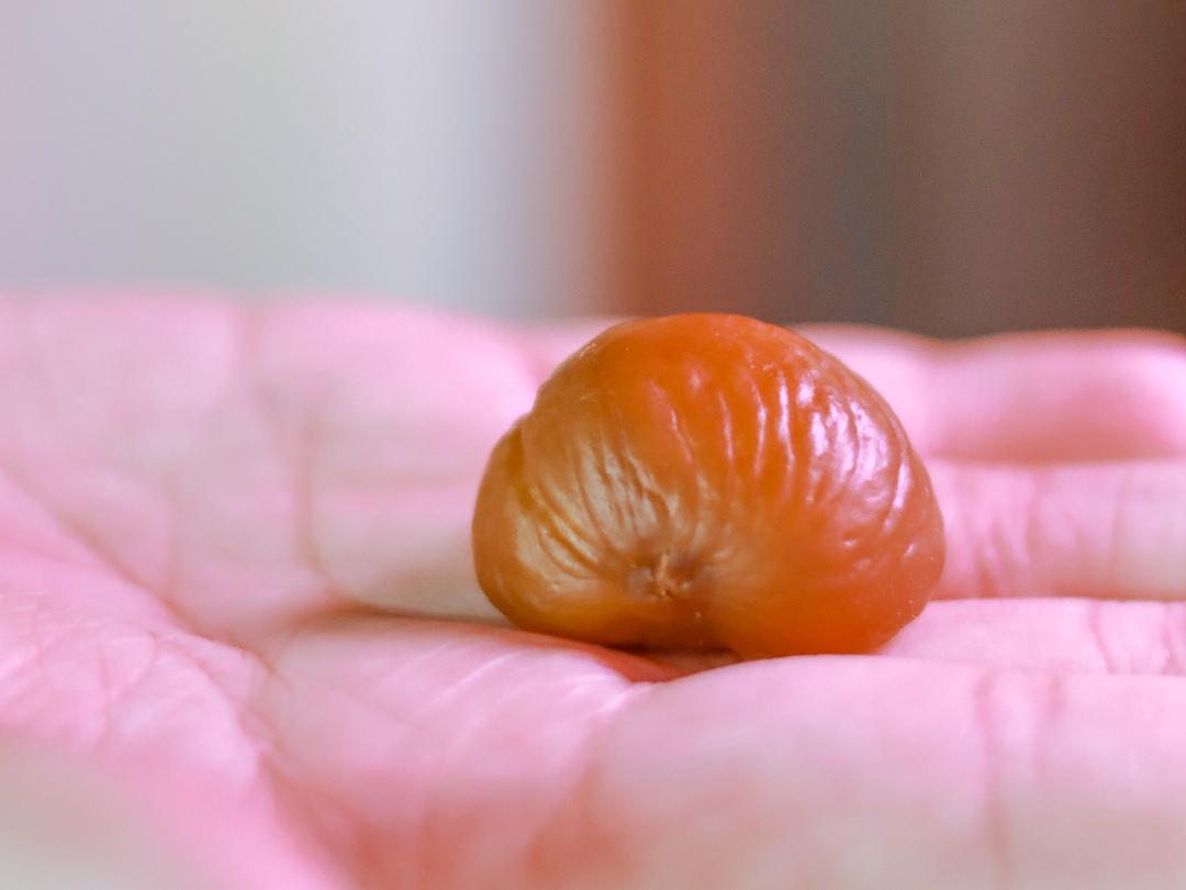 来了，2022太仓栗子不完整种草指南