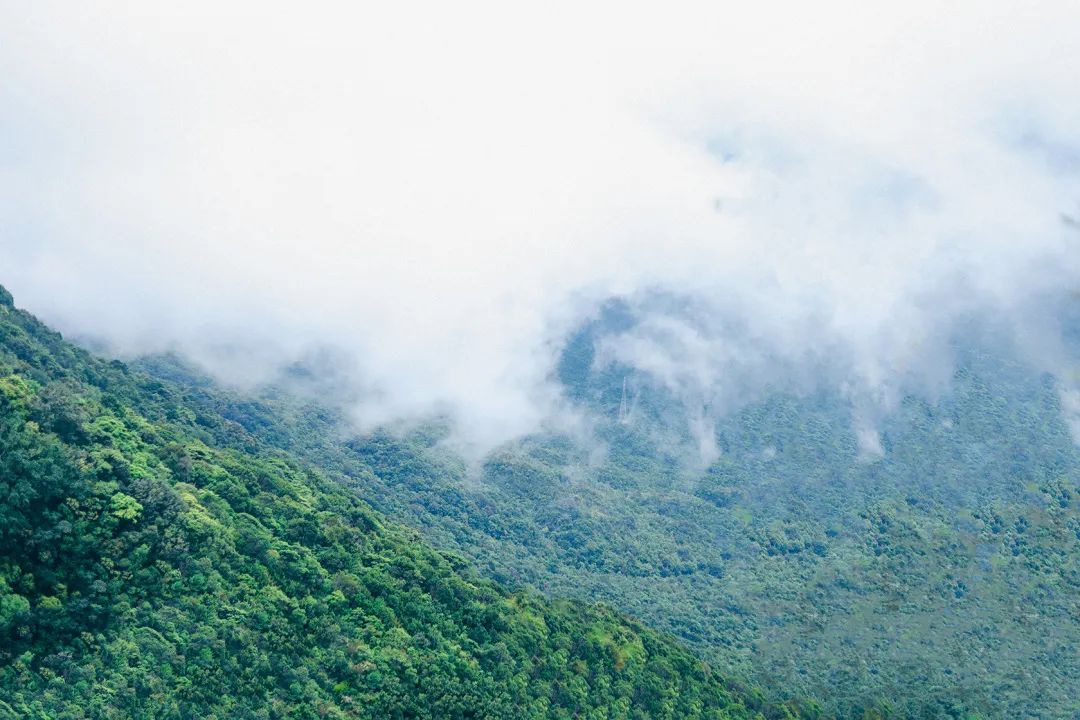 周末来深圳这10个地方免费玩,深圳周末去哪玩免费的地方